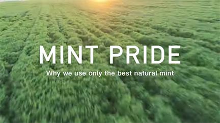 MINT PRIDE