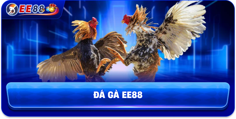 Đá gà EE88