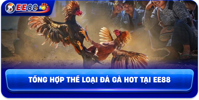 Tổng hợp thể loại đá gà hot tại EE88