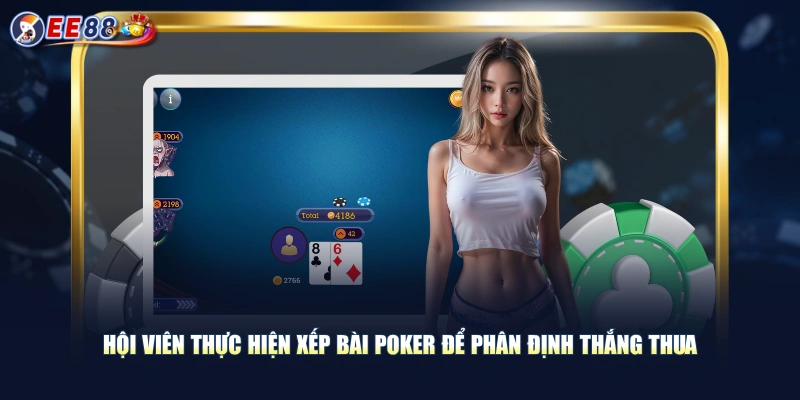 Hội viên thực hiện xếp bài Poker để phân định thắng thua